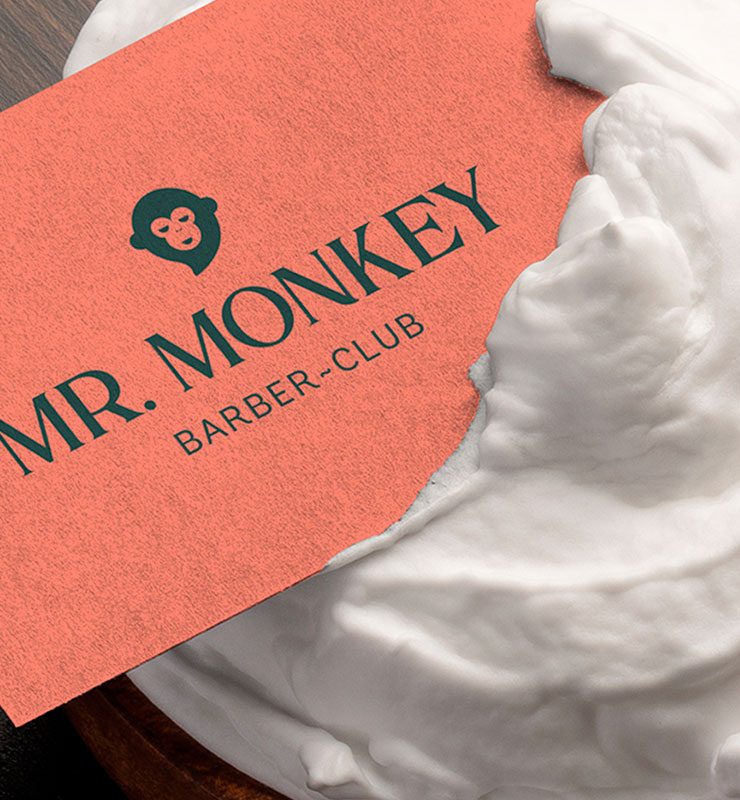 diseno-grafico-marbella-branding-mrmonkey7